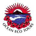 Ocean Eco Tours