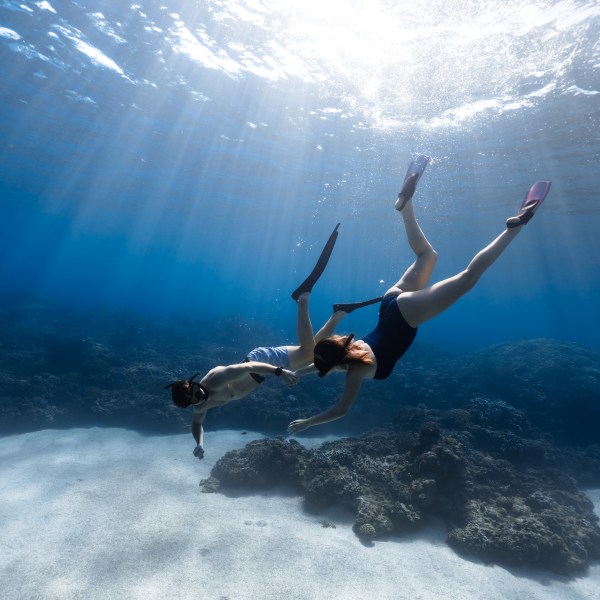 Ocean Eco Tours Offshore Safari Kona