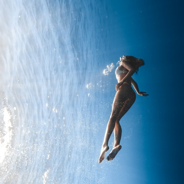 Ocean Eco Tours Offshore Safari Snorkel Tour Kona