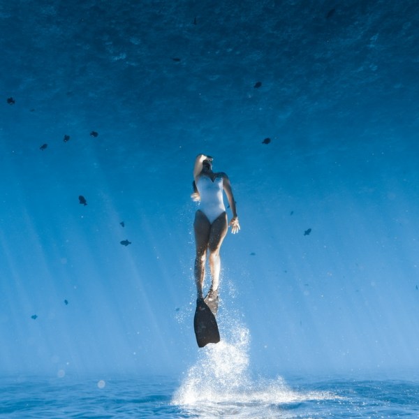 Ocean Eco Tours Offshore Safari Snorkel Tour Kona