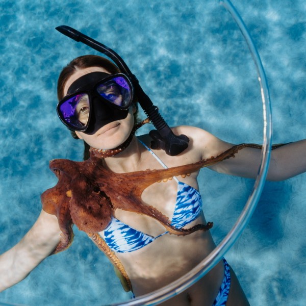 Ocean Eco Tours Offshore Safari Snorkel Tour Kona