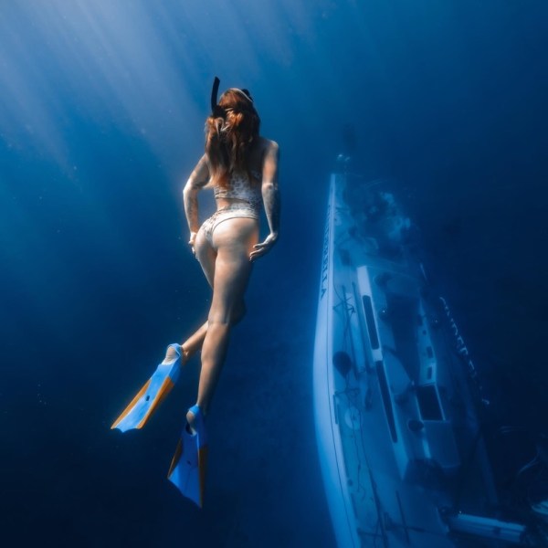 Ocean Eco Tours Offshore Safari Snorkel Tour Kona