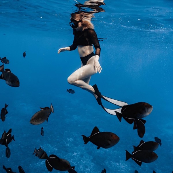 Ocean Eco Tours Offshore Safari Kona