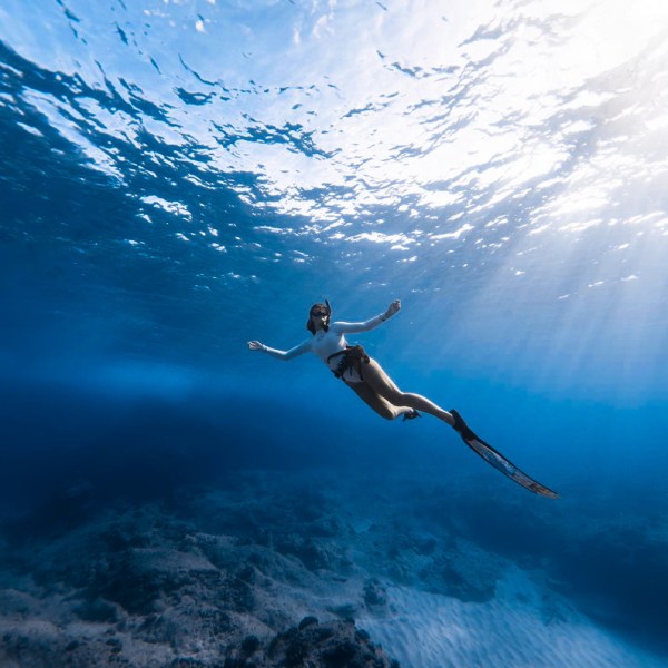 Ocean Eco Tours Offshore Safari Snorkel Tour Kona