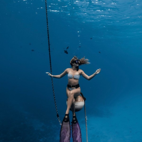 Ocean Eco Tours Offshore Safari Snorkel Tour Kona