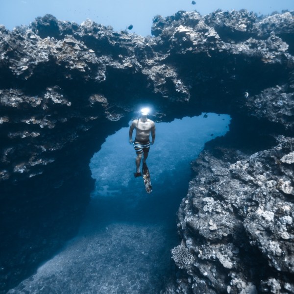 Ocean Eco Tours Offshore Safari Snorkel Tour Kona