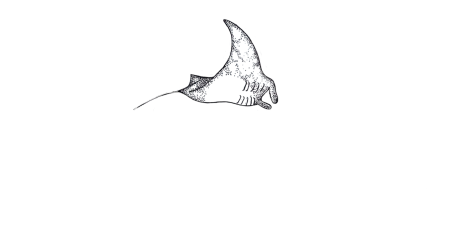 Ocean Eco Tours