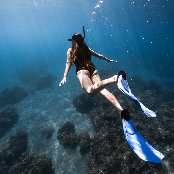 Ocean Eco Tours Offshore Safari Snorkel Tour Kona