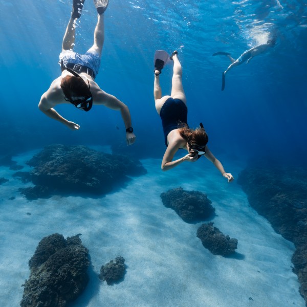 Ocean Eco Tours Offshore Safari Kona