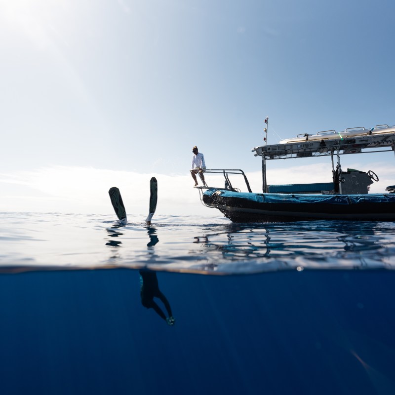 Ocean Eco Tours Boat
